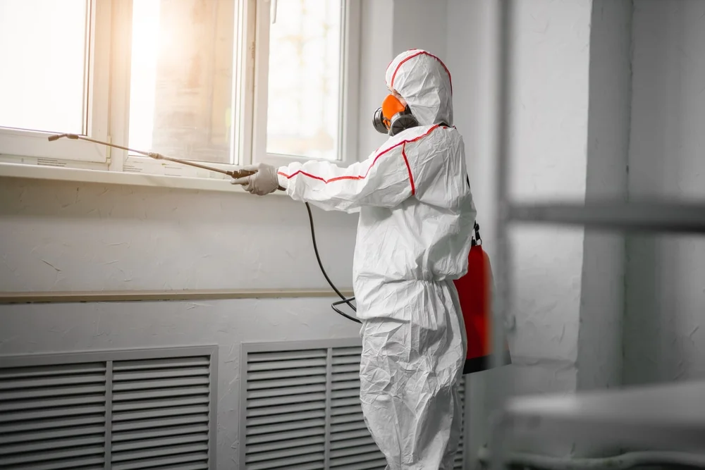 Professional mold remediation services in Tavernier, FL